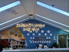 -西安小天鹅艺术团(曲江Alice店)