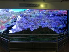 -延庆地质公园博物馆