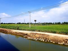-渔闻农家菜