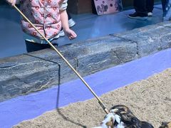 -顺德南宏海立方海洋公园