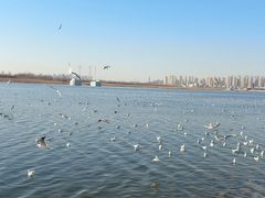 -海河外滩公园