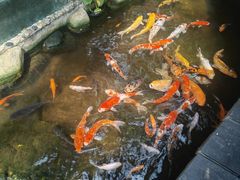 -上海大自然野生昆虫馆