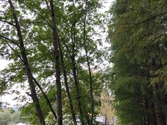 -月湖风景区