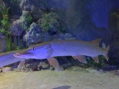 -东方巨龟苑景区