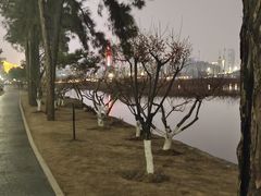 -月湖风景区