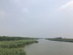 -西青郊野公园