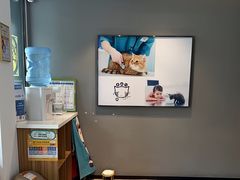 -御宝贝·A梦猫科宠物医院(国际猫友好医院)