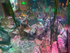 -沈阳海洋探索中心