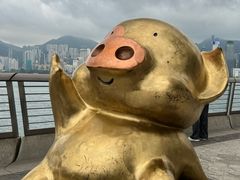 -星光大道