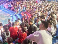 -烟台海昌鲸鲨海洋公园