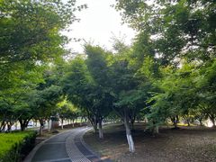 -羊山湖公园