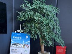 -上海浦东smart汽车全功能店(金桥店)