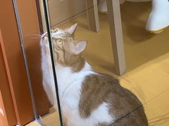 -MARSMART PETS火星宠物超市(1733店)