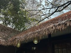 -中国茶叶博物馆(双峰馆区)