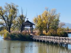 -野鸭湖国家湿地公园