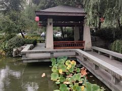 -桐庐开元名都大酒店