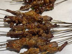 -小杨烤肉(朱雀店)