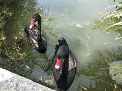 -长兴太湖图影湿地文化园