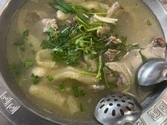 -一代菌王·竹荪鹅(江苏旗舰店)