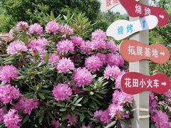 -名花谷生态庄园