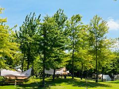 -广富林郊野公园