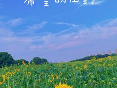 -苏州湾体育公园