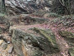 -大伊山景区