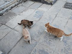 -终南山南五台景区