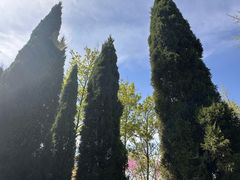-洛阳市隋唐城遗址植物园