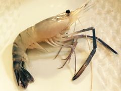 -Thai Basil罗勒叶泰式餐厅(时代天街店)