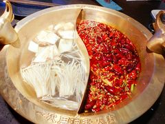 -锅说大脸毛肚重庆老火锅(佐阾店)