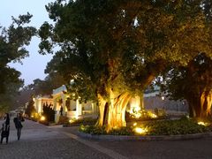 -龙环葡韵住宅式博物馆