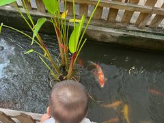 -丫口花园餐厅·融合菜