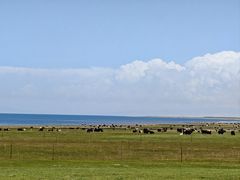-青海湖国家重点风景名胜区
