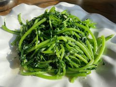 蒜泥茼蒿-山芋腔苏北菜(盐城滨海店)