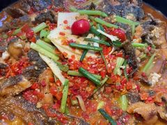 -老板恋上鱼(恒隆广场店)