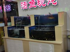 -屯老二农家铁锅炖·行业领军者(梅江店)