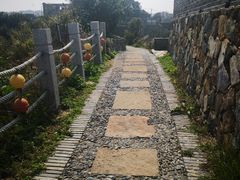 -东沙渔村