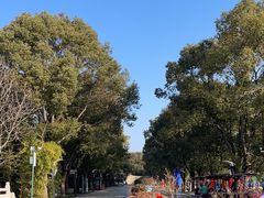 -溱湖国家湿地公园