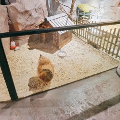 -酷嗒动物文化乐园(cutezoo西溪乐天城店)