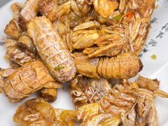 -好礼家海鲜•海肠捞饭大王(金沙滩念慈别墅店)