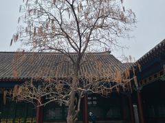 -张学良旧居陈列馆