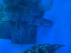 -泉城欧乐堡海洋极地世界