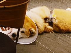 -BOCATA 西班牙餐厅(三里屯店)