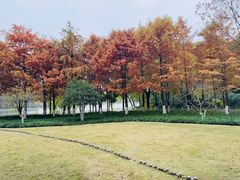 -杭州城北体育公园