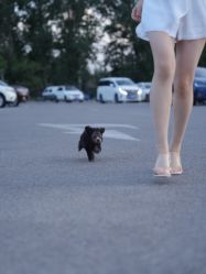 -一个差评成就的纹眉店