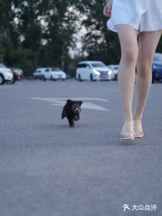 一个差评成就的纹眉店图片