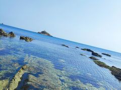 -养马岛旅游度假区