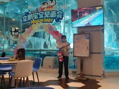 -帝企鹅自助餐厅•儿童岛•真企鹅(长隆企鹅酒店)