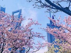 -陆家嘴中心绿地